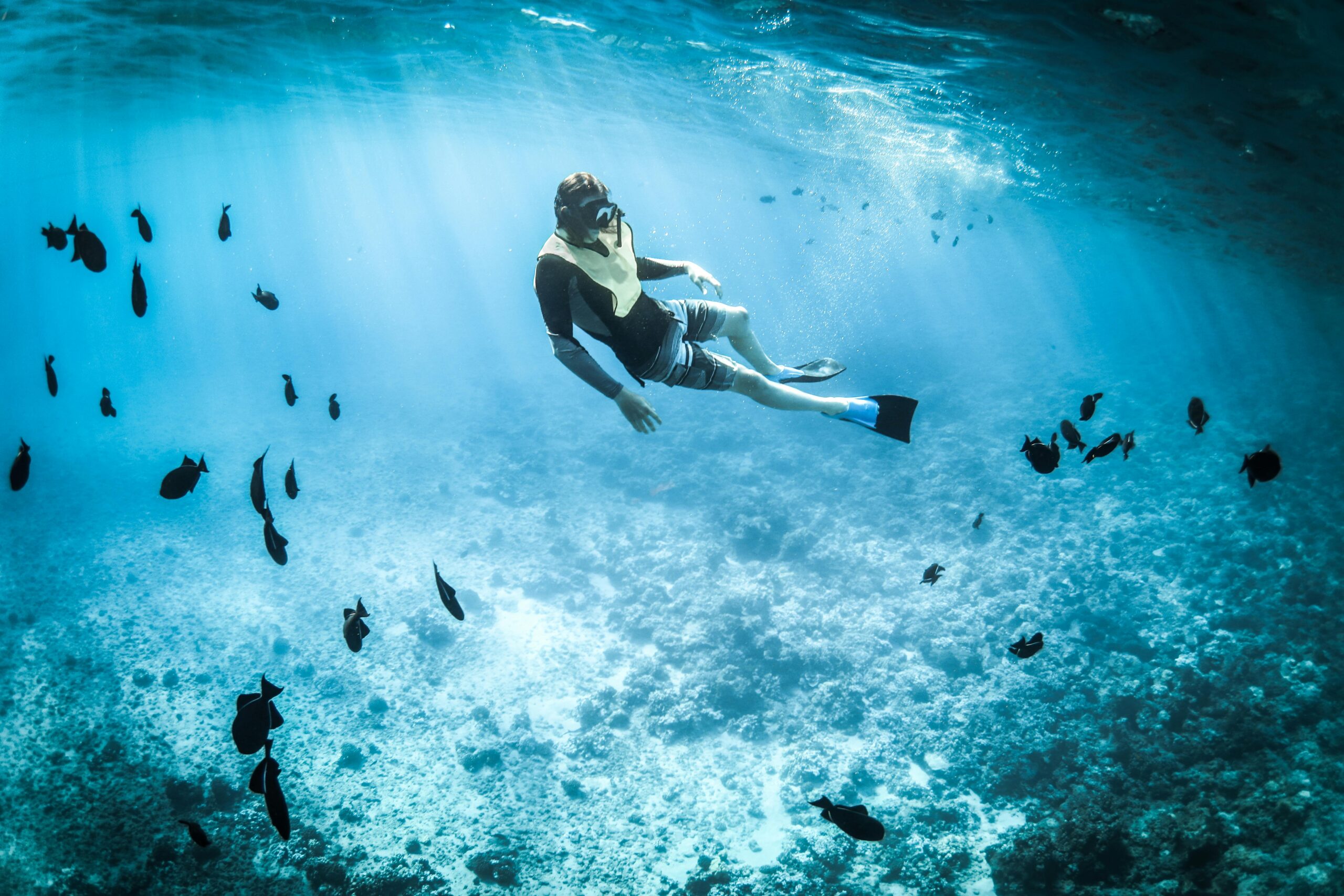 Activities in San Diego - Snorkeling