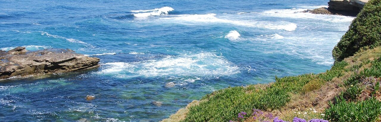 west coast